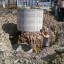 Технология изготовления железобетонных колец 16